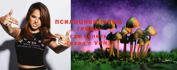 гидра Балабаново
