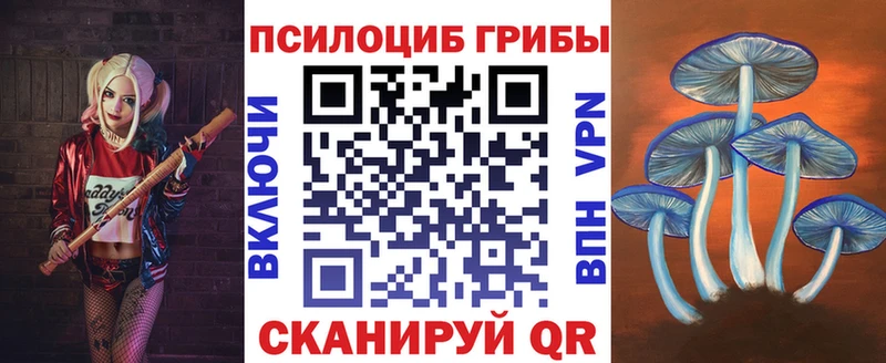 Псилоцибиновые грибы мицелий Бабушкин